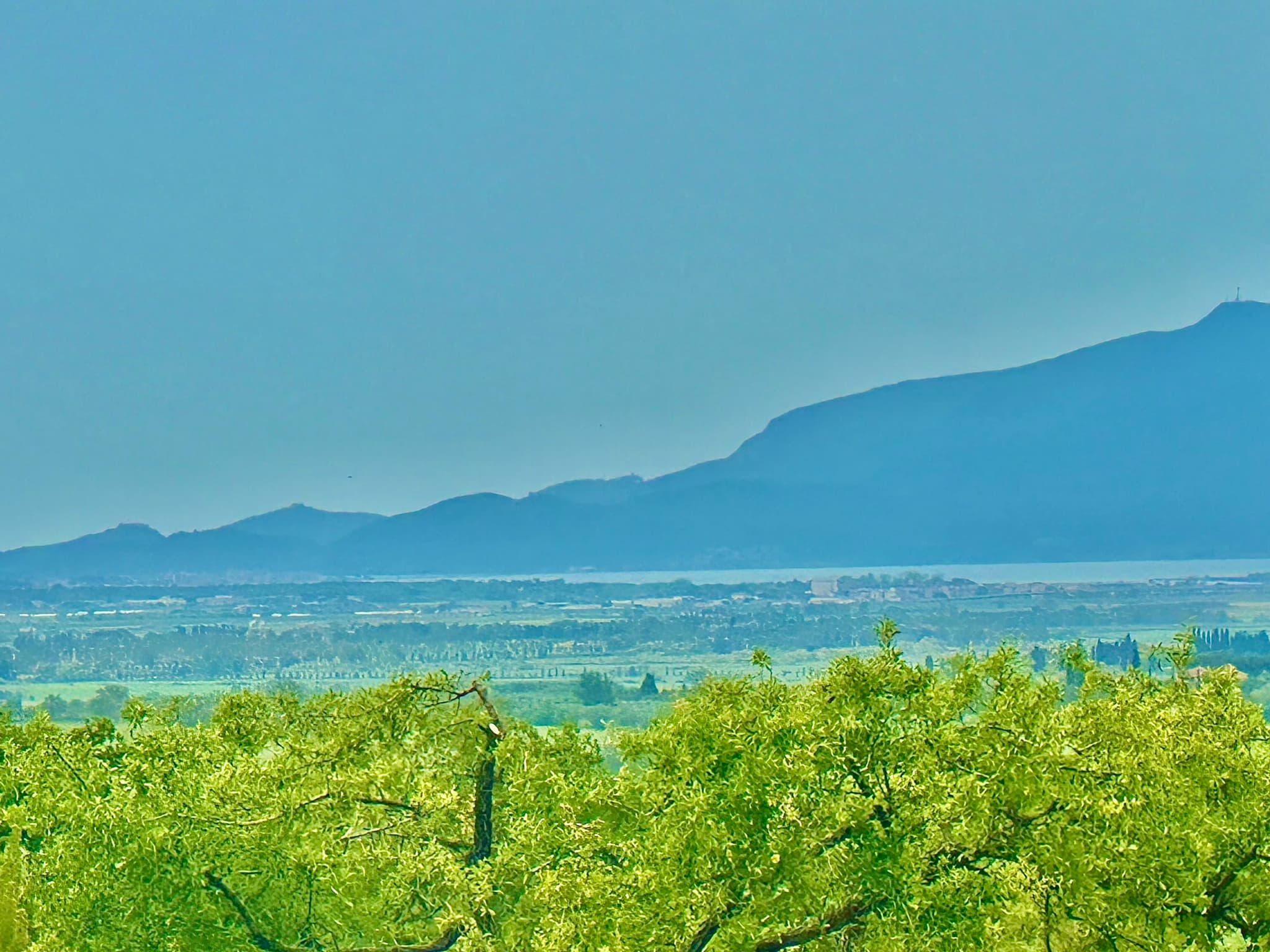 Maniero in Maremma - Image 30