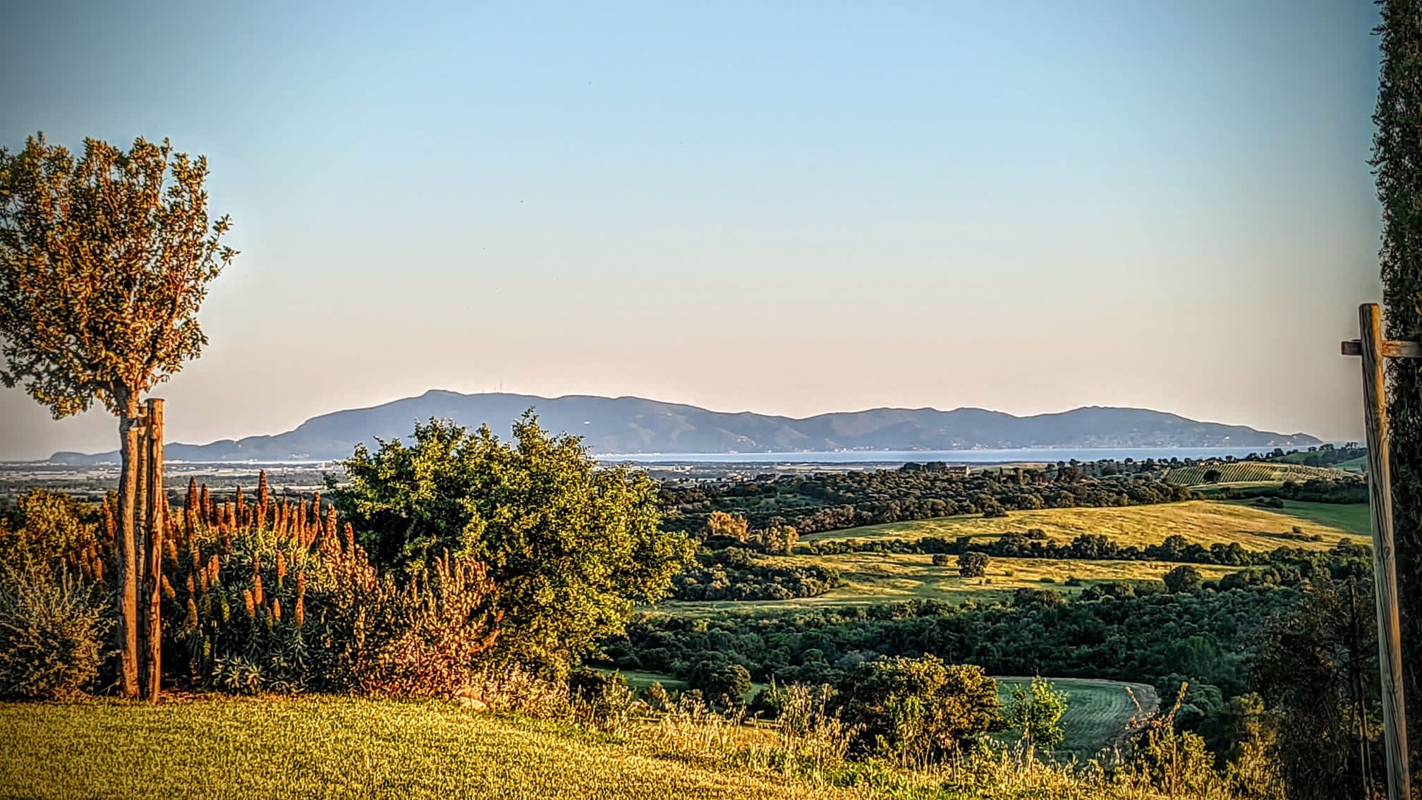 Maniero in Maremma - Image 58