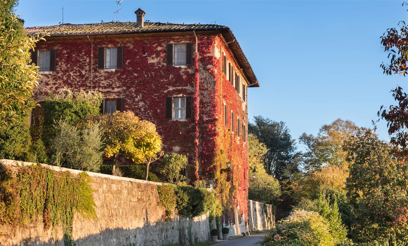 Chianti Classico - Image 20