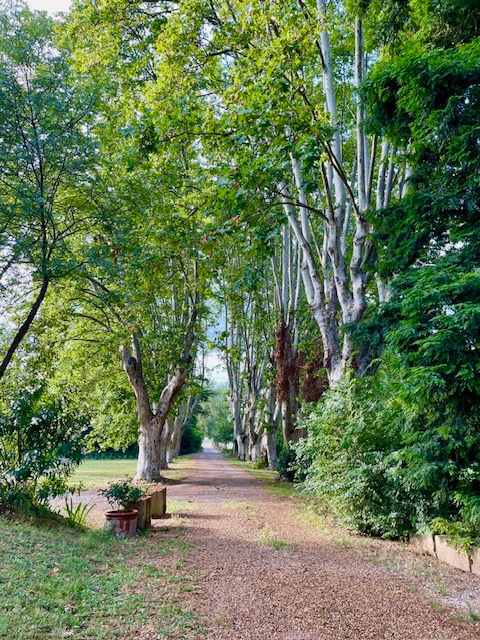Bastide Couronne d'Aix - Image 9