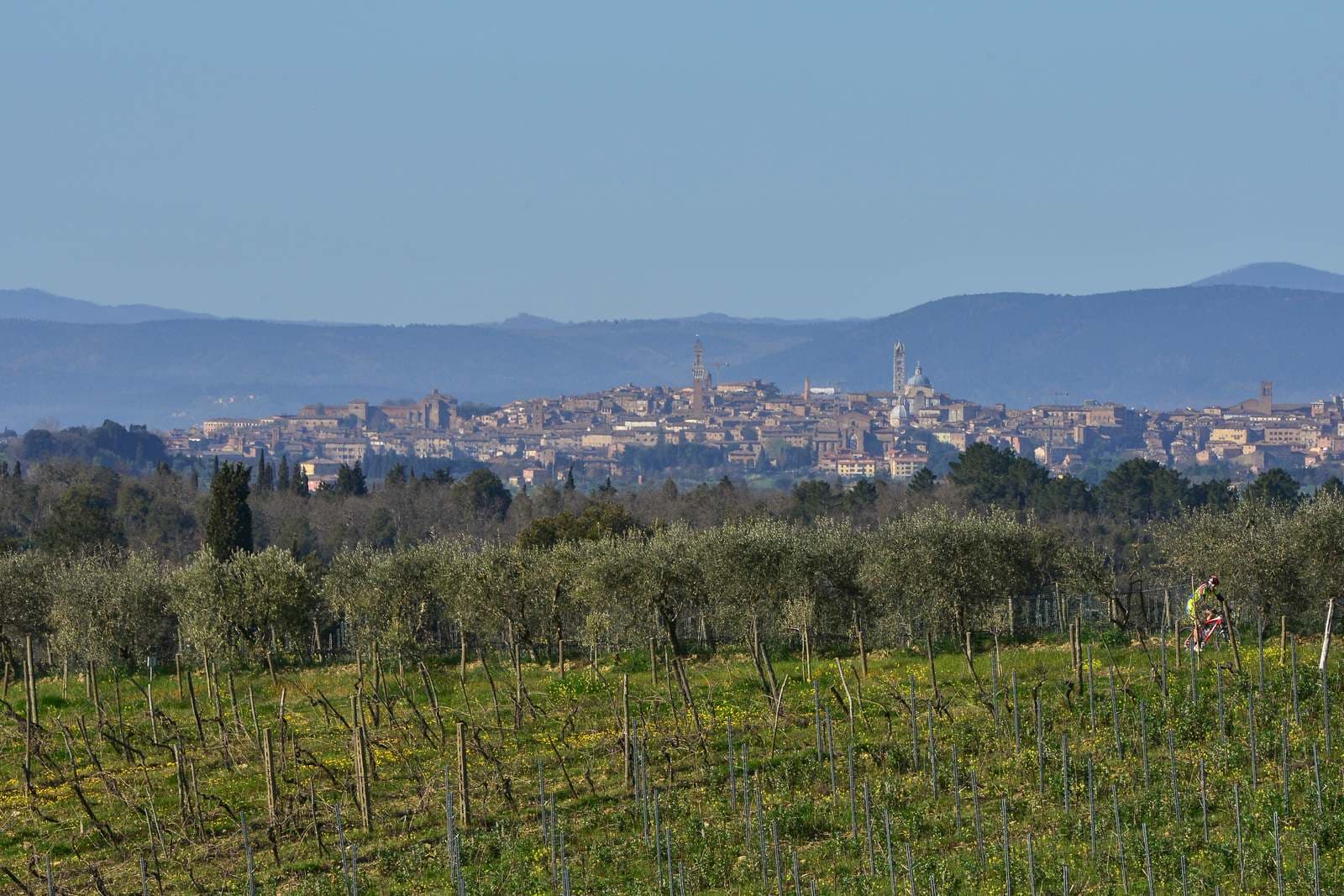 Villa Chiantissimo - Image 19
