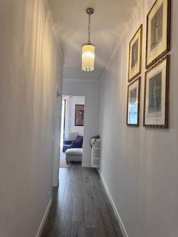 Florence Favorite - Image 24