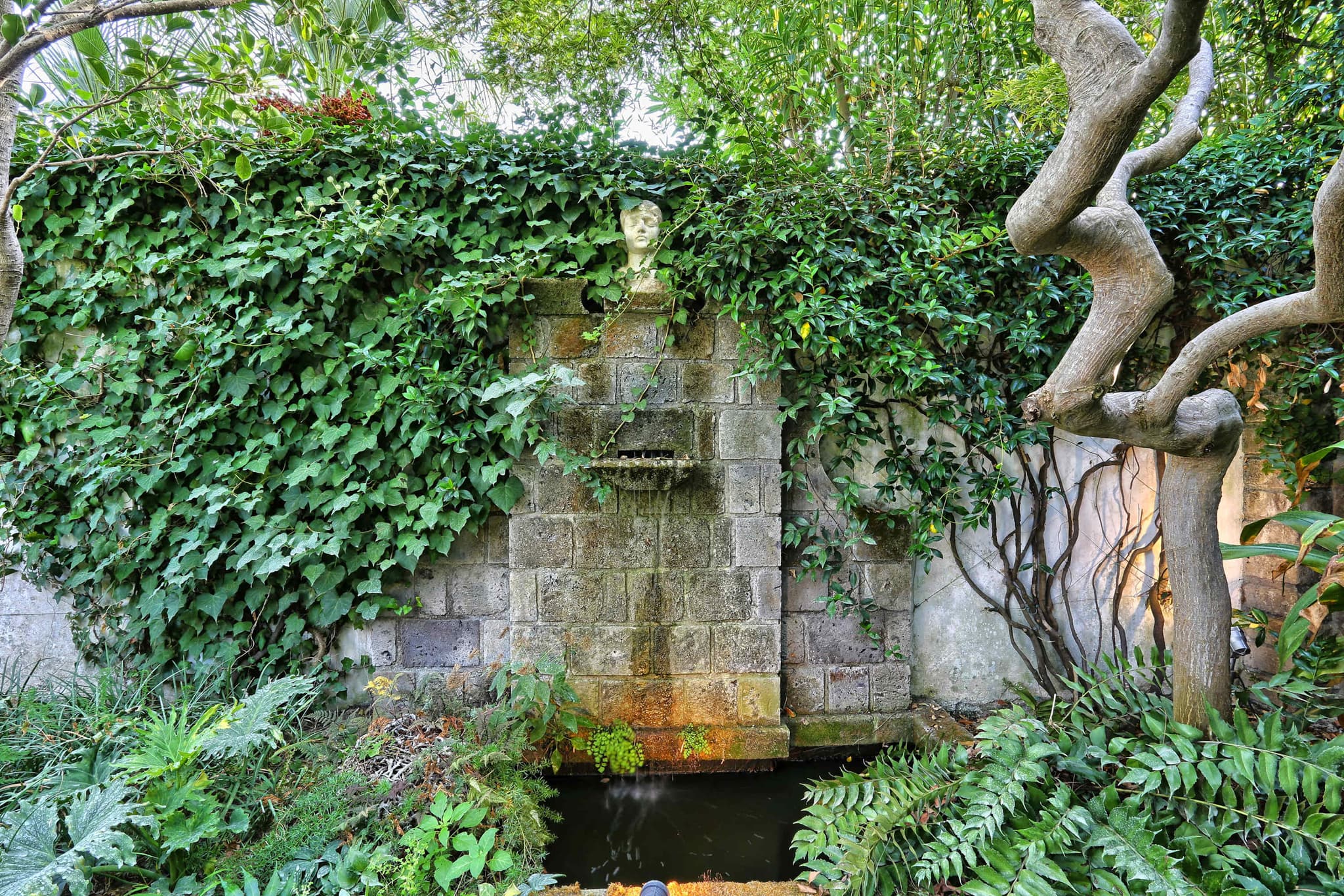 Sorrento La Di Da - Image 25